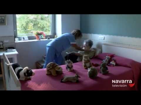 cartera de servicios sociales de navarra