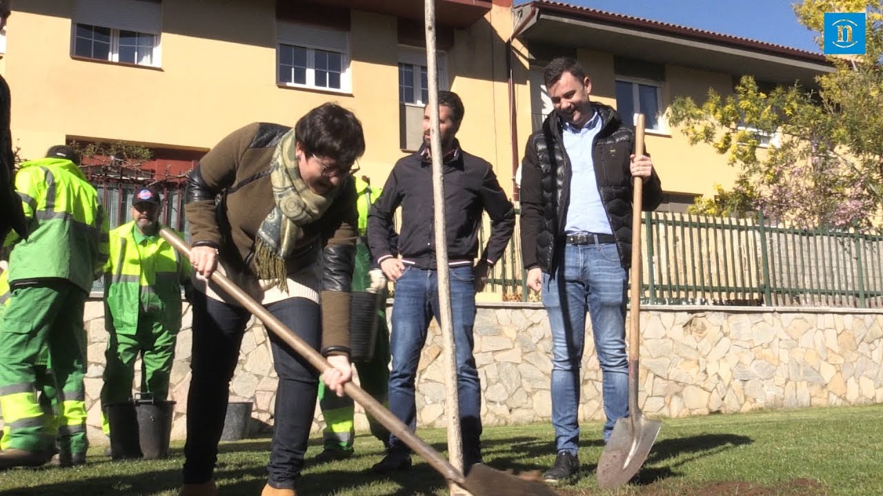 ley de montes de castilla y leon