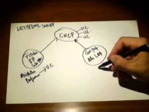 ley organica 5 2002 de 19 de junio