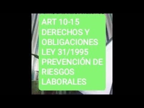 artículo 15 de la ley de prevención de riesgos laborales