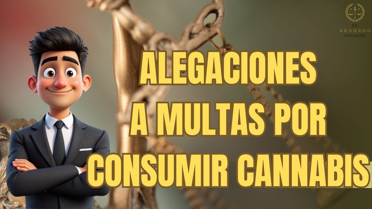 como recurrir una multa por porros