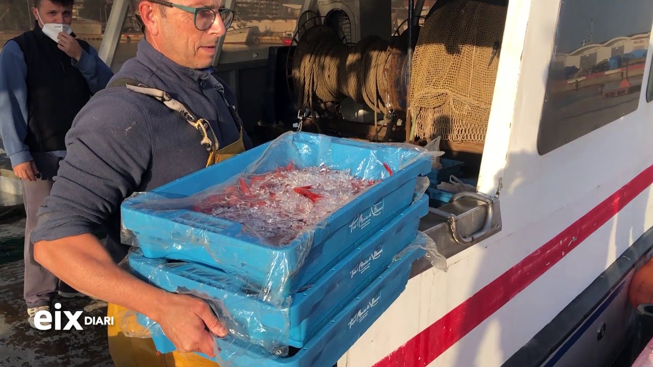 confraria de pescadors de vilanova i la geltrú