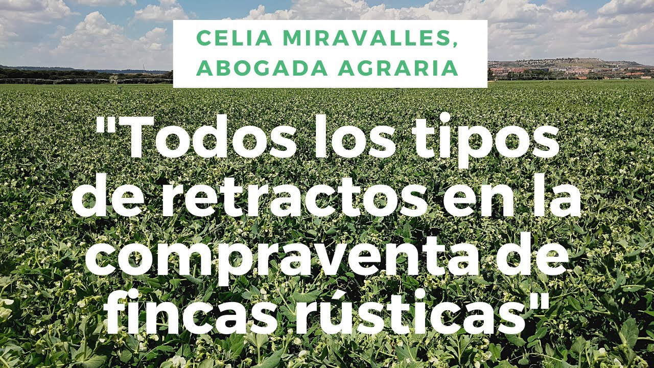 derecho de retracto en fincas rusticas
