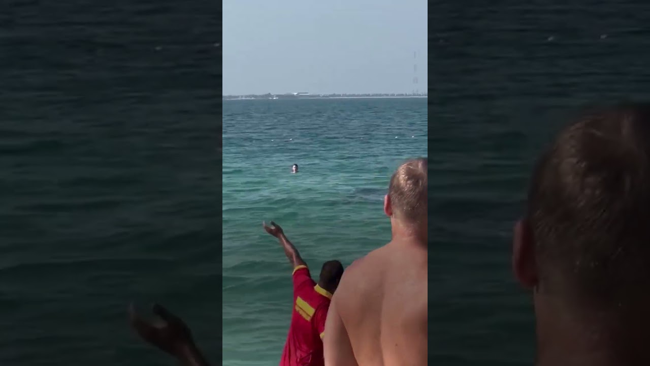 maria del mar romera abogada madrid granada