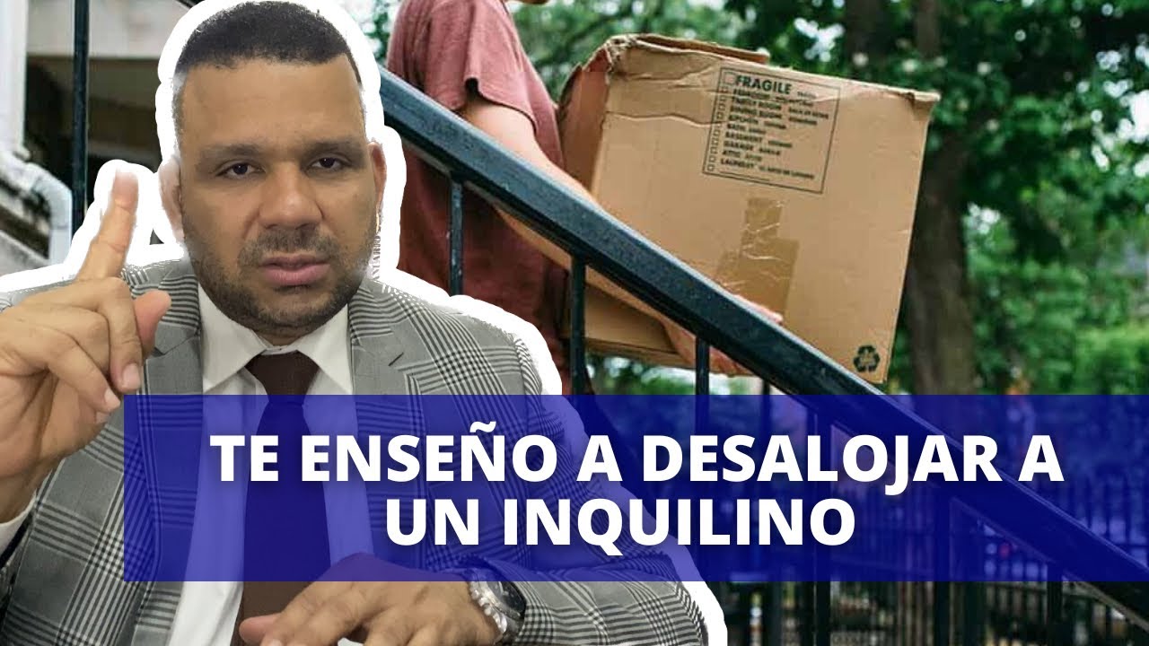 modelo demanda desahucio por falta de pago nueva ley