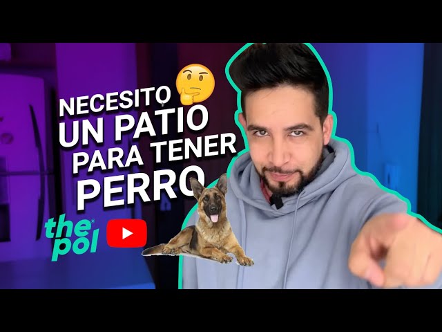 que pasa si ocupan mi casa con mi perro dentro