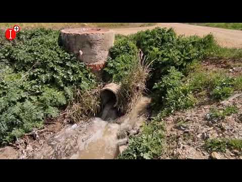 registro de la propiedad almodovar del campo