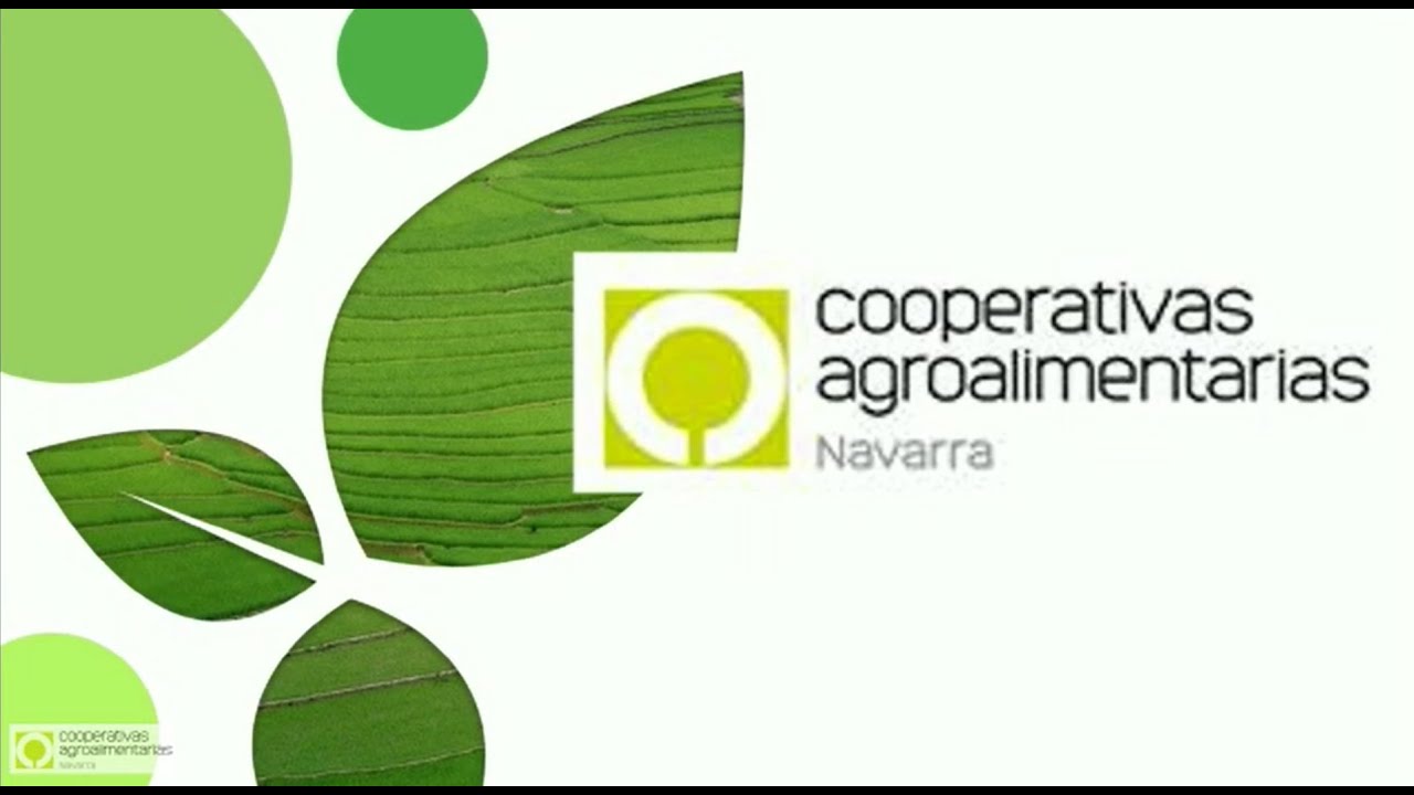 sistema de gestion de ayudas sga