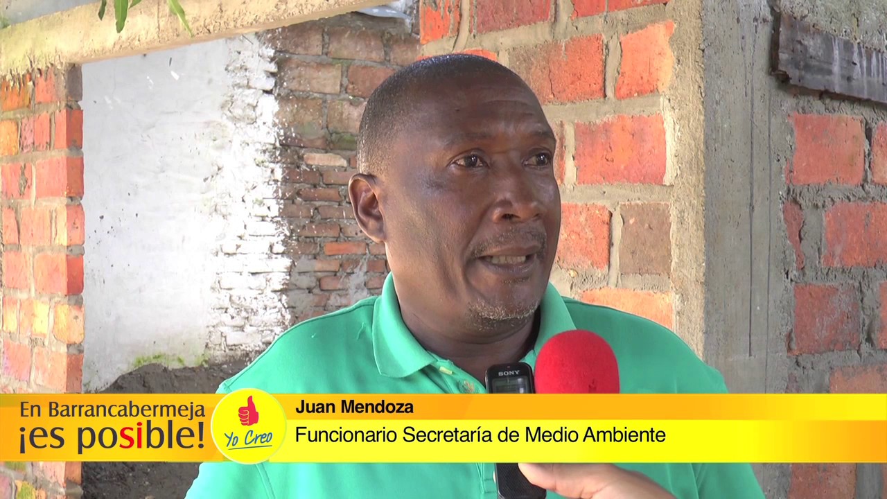 solicitud de permiso para tala de arboles galicia