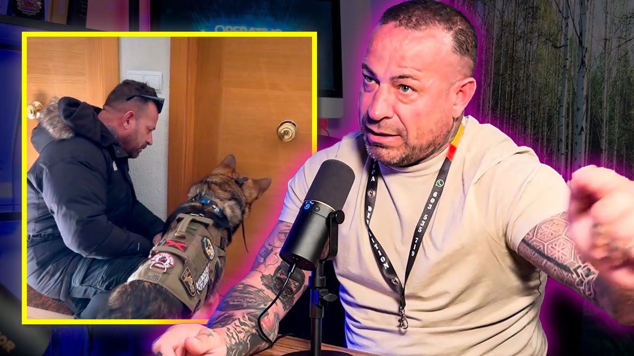 son legales las empresas de desocupación