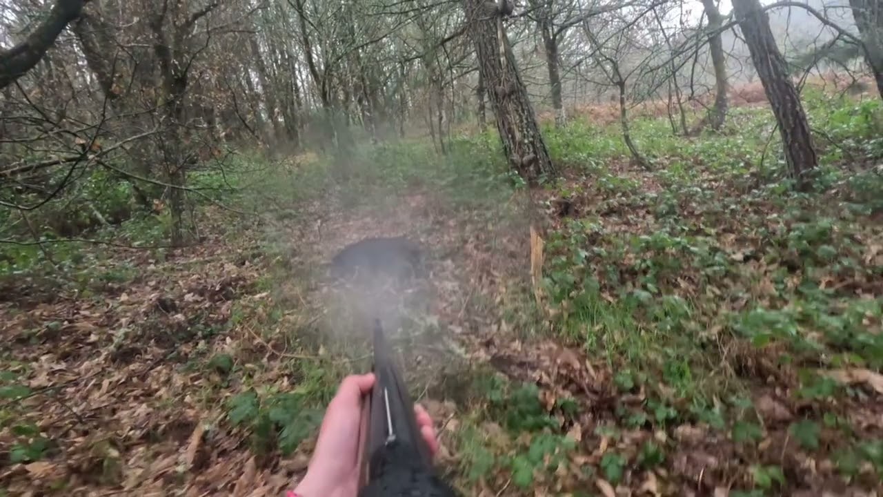 zonas libres de caza en galicia